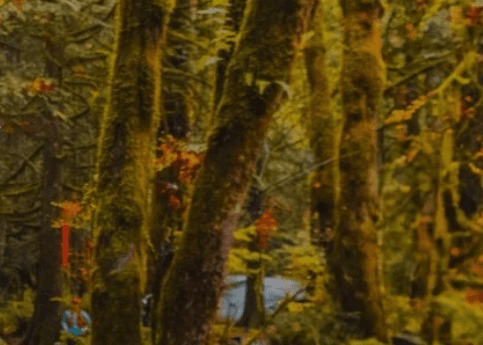 Hallow's Eve Trail Marathon