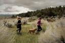 Ward Mountain Trail Run 2025