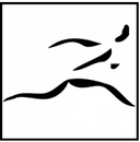 Napa Valley Trail Marathon