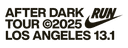 Nike After Dark Los Angeles 13.1